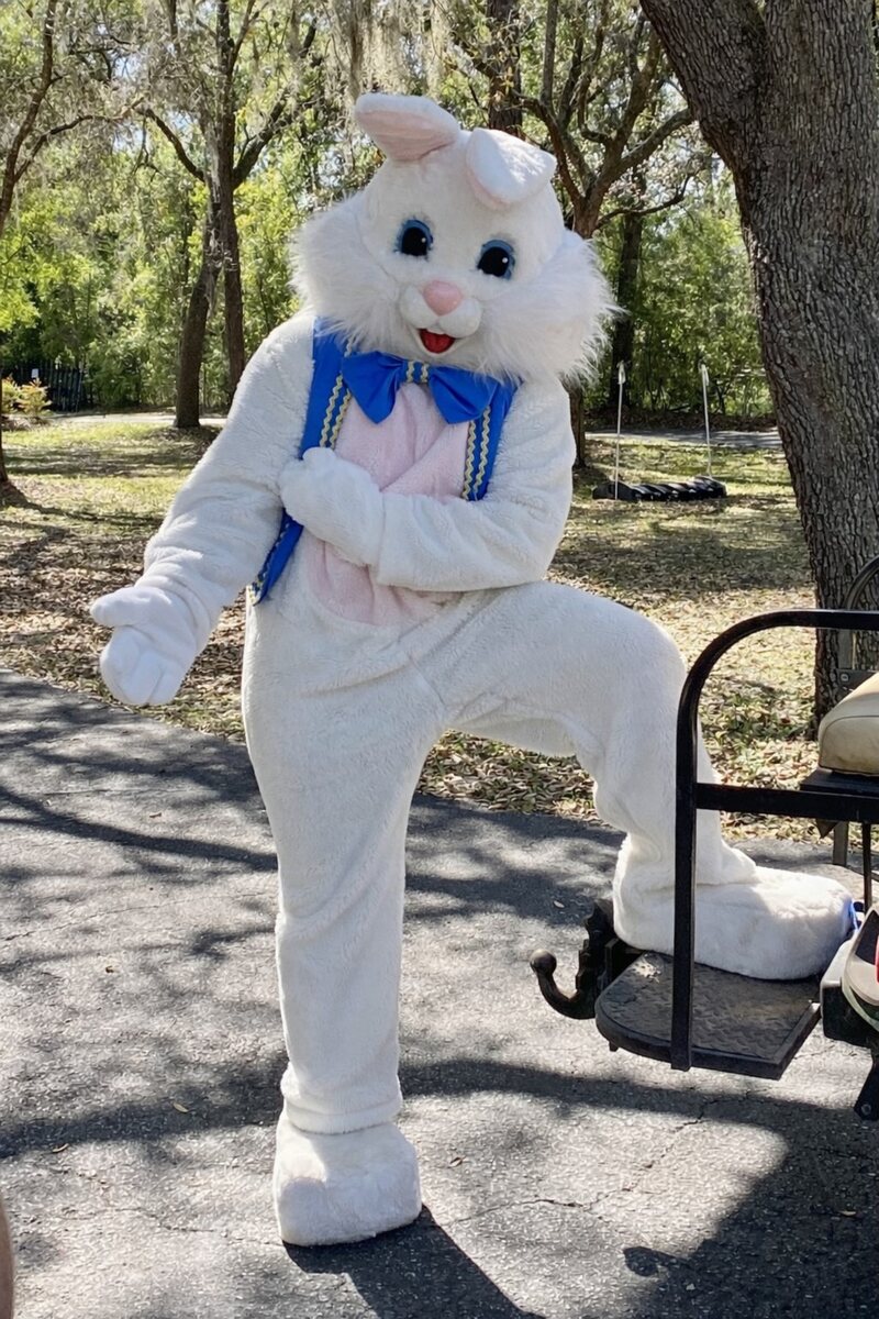 Santa Dave as the Easter Bunny